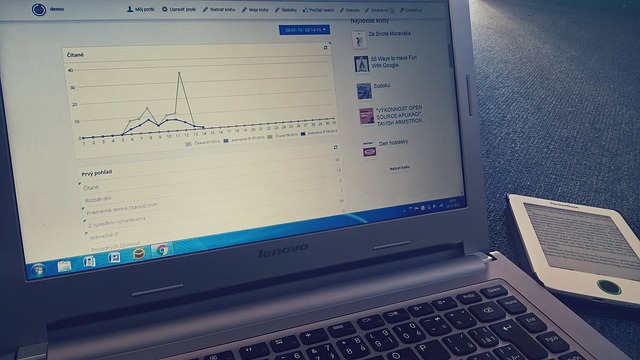Facebook-Statistiken auf Computer-Bildschirm