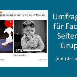 Umfrage Tool Facebook