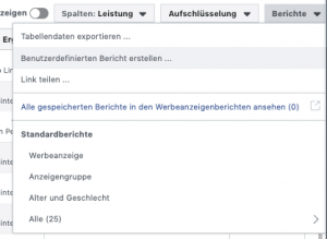 Benutzerdefinierten Bericht auf Facebook erstellen