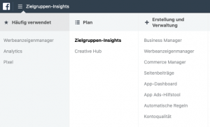 Facebook Zielgruppen-Insights