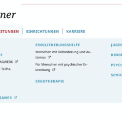 Screenshot der Website von ViaNobis, der die Leistungen ders sozialen Trägers zeigt